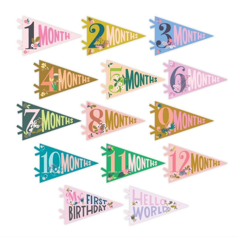 2/$20 Little Artist Milestone Pennants